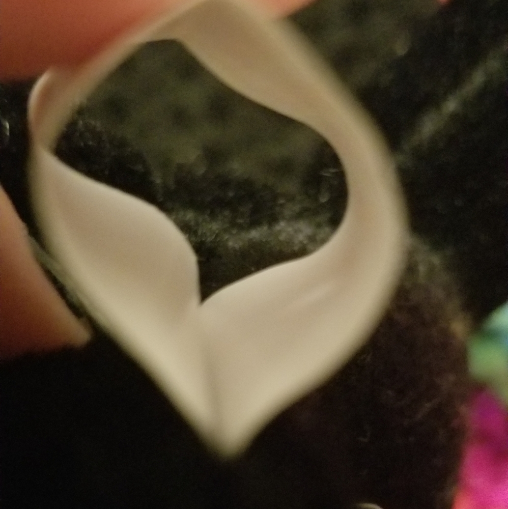 RARE TY Beanie Baby Blackie ♡ - Picture 8 of 8